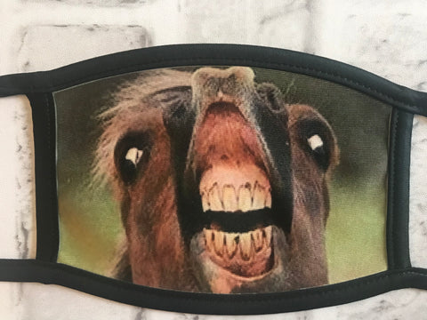 Laughing horse face mask